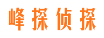 刚察市私家侦探